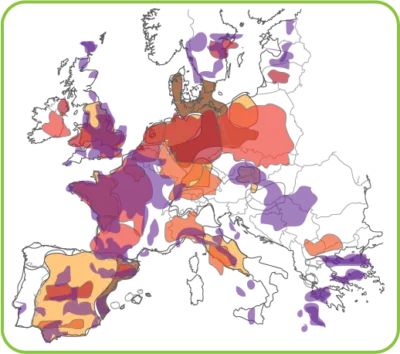 Europe-nvzs-plus